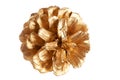 Gold plated pine cone macro isolated Royalty Free Stock Photo