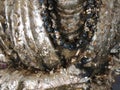 Gold plates on buddha, The Buddha statue to gild with gold leaf.