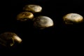 gold polished paint seed on black background Royalty Free Stock Photo