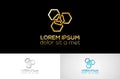 Gold polygon logo template design
