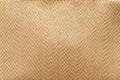 Gold python skin. The texture of genuine leather Royalty Free Stock Photo