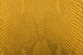 Gold python snake skin texture background. Royalty Free Stock Photo