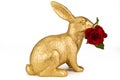 Gold rabbit toy with red rose for Valentines day