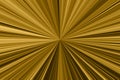 Gold ray sun burst abstract background Royalty Free Stock Photo