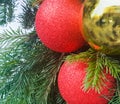 Gold and red Christmas balls on the Christmas tree close-up. Decorating a New Year's house Royalty Free Stock Photo