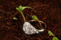 Gold Ring with Cubic Zirconia (CZ) on the Ground with Green Plants Royalty Free Stock Photo