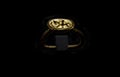 Gold ring with depiction of rider belong to tartessos treasure o