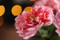 Gold ring with diamond. Diamond wedding rings on rose petals. Diamond Ring On pink Rose. Selective focus Royalty Free Stock Photo