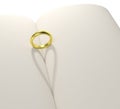 Gold ring heart shape shadow blank book