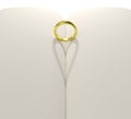 Gold ring heart shape shadow blank pages