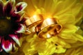 Gold rings of the newlyweds shine and reflect the light, close-up, blurred background. Abstract photo, wedding accessories