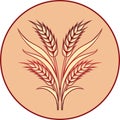 Gold ripe wheat ears as logo or icon template Royalty Free Stock Photo