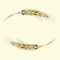 Gold ripe wheat ears frame, border or corner element Royalty Free Stock Photo