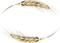 Gold ripe wheat ears frame, border or corner element