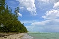 Gold Rock Beach, Grand Bahama. BAHAMAS.