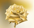 Gold Rose.