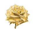 Gold Rose.