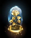 Gold rose under a glass dome