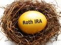 Gold Roth IRA egg in a bird`s nest, on white Royalty Free Stock Photo