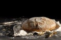 Gold round loaf of rustic bread and ears of wheat. Black background. space for text Royalty Free Stock Photo