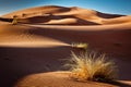 Gold sand and blue sky Royalty Free Stock Photo