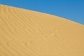 Gold sand dune Royalty Free Stock Photo