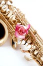 Gold Saxophone And Pink Rose on White Bk