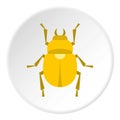 Gold scarab beetle icon circle