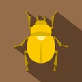Gold scarab beetle icon, flat style