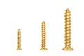 Gold Screws  isolated on white background. 3D illustration. 3D rendering Royalty Free Stock Photo