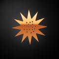 Gold Sea urchin icon isolated on black background. Vector.