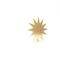 Gold Sea urchin icon isolated on white background. 3d illustration 3D render