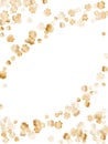 Gold seashells vector, golden pearl bivalved mollusks. Royalty Free Stock Photo