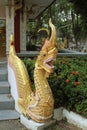 The gold serpent stucco on the railing of the temple Thailand