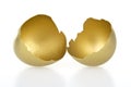 Gold shell of egg Royalty Free Stock Photo