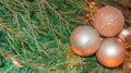 Gold shiny Christmas decorations. Glass balls on a real Christmas tree branch, new year background, banner Royalty Free Stock Photo