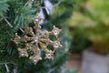 gold shiny christmas ornament hanging from a green pine tree Royalty Free Stock Photo