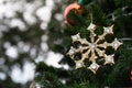 gold shiny christmas ornament hanging from a green pine tree Royalty Free Stock Photo