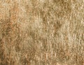 Gold shiny foil texture background or pattern