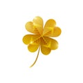 Gold shiny four leaf clover isolated on white