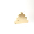 Gold Shit icon isolated on white background. 3d illustration 3D render