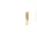 Gold Shock absorber icon isolated on white background. 3d illustration 3D render Royalty Free Stock Photo