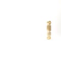 Gold Shock absorber icon isolated on white background. 3d illustration 3D render Royalty Free Stock Photo