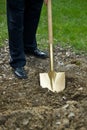 Gold shovel at groundbreaking Royalty Free Stock Photo