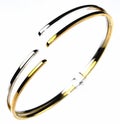 Gold and silver bangle Royalty Free Stock Photo