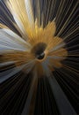 Golden and black burst in grunge style. Royalty Free Stock Photo