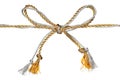 Gold and silver bow Royalty Free Stock Photo