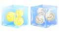 Gold silver coins frozen in ice cube. money Royalty Free Stock Photo