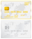 Gold And Silver Credit Card