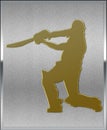 Gold on Silver Cricket Batsman Sport Emblem